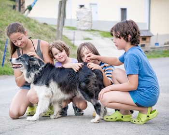 Die Kinder spielen gerne mit unserer Border Colliehündin