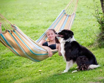 Johanna liegt in der Hängematte und krault unsere Border Colliehündin