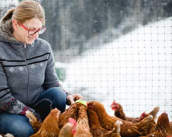 Brigitte liebt und verwöhnt ihre Hühner