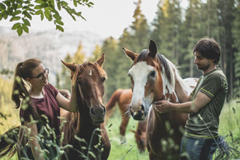 Ob Familie, Hausgäste oder Freunde, jeder liebt unsere Pferde - Foto:Karoline Karner