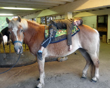 Johanna rastet liegend am Pferd, sie ist immer zu Späßen aufgelegt, unsere Johanna