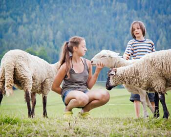 Johanna und unsere Gastkinder spielen mit unseren Schafen
