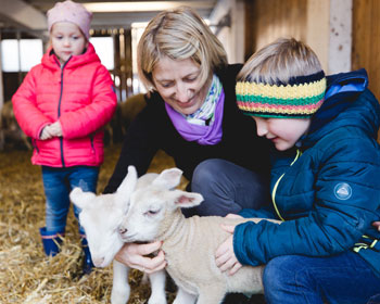 Brigitte und unsere Gastkinder spielen mit unseren Schafen