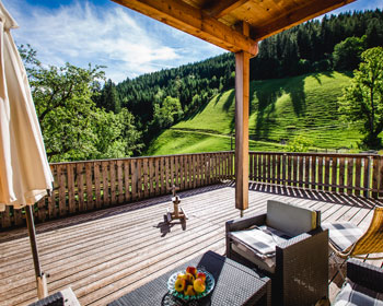 Terrasse der Ferienwohnung Naturpark mit Blick auf unsere Wiesen und den Wald
