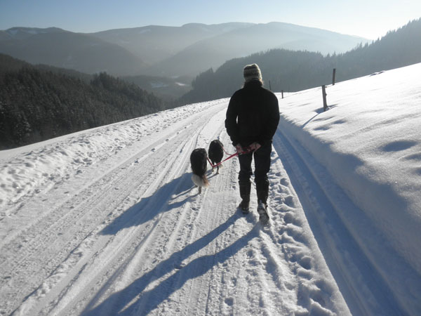 Brigitte geht mit den beiden Border Colliehündinnen an der Leine auf der gut ausgeschobenen Schneefahrbahn spazieren und hat einen herrlichen Ausblick auf das Mürztal
