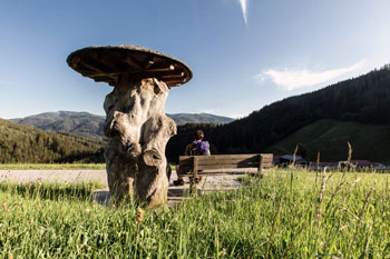 Einfach mal auf einem Bankerl rasten und die Natur genießen - Foto: Karoline Karner