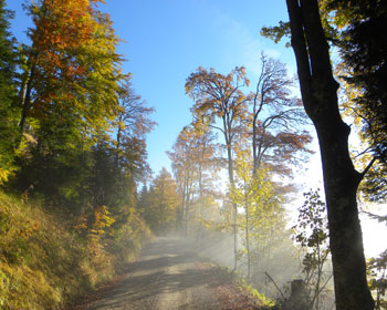 Herbsstimmung auf dem Weg zur Schneealm