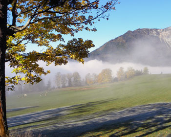 Herbstnebel hebt sich langsam