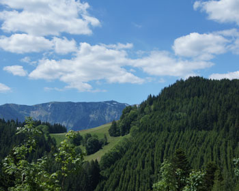 Blick auf unser Gebiet und Schneealm im Hintergrund vom gegenüberliegendem Hang
