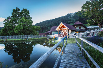 Unser Naturbadeteich ist ein Rückzugsbereich für Groß und Klein