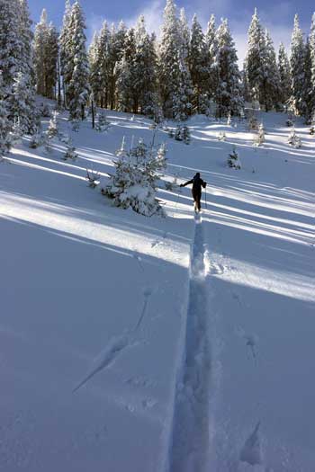 Schitourengeher auf dem Weg auf die Schneealm