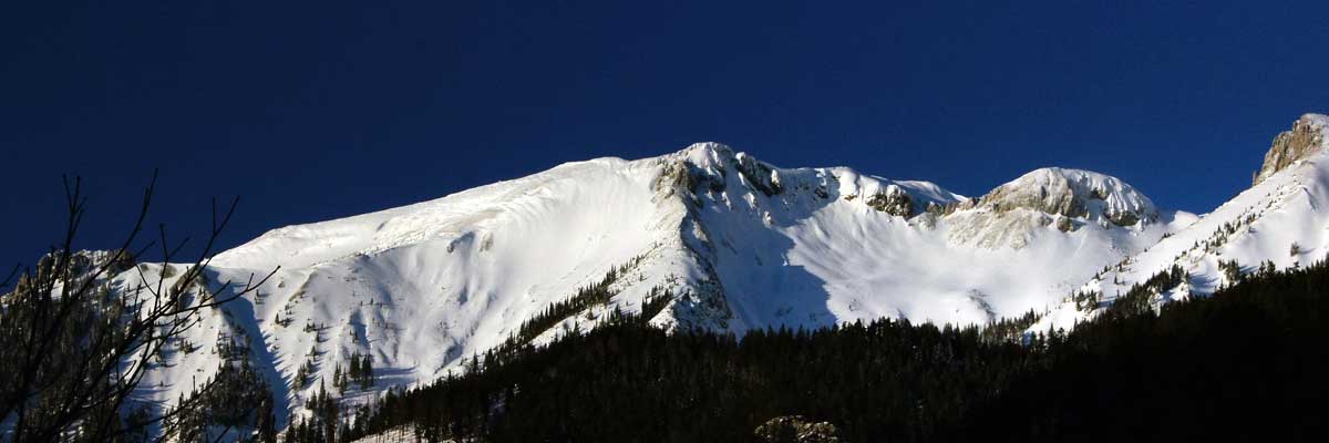Schneealmpanorama bei herrlichem Winterwetter - Foto:Feiner