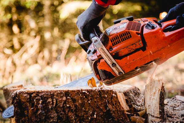 Manfred arbeitet mit der Motorsäge beim Biodiversitätsaktionstag