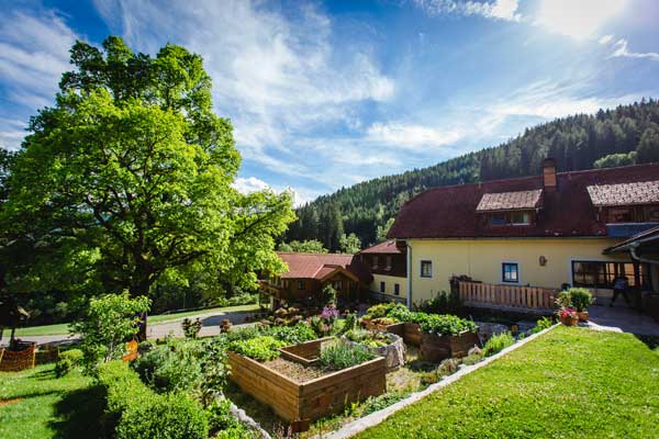 Biogarten vom Michlbauernhof