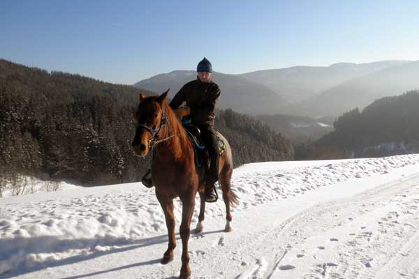 Manfred reitet auch im Winter