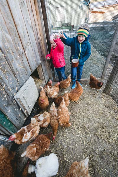 Kinder füttern Hendl