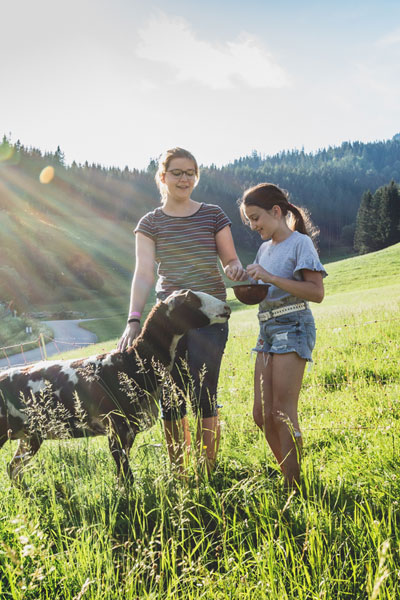 Kinder mit einem Schaf auf der Wiese