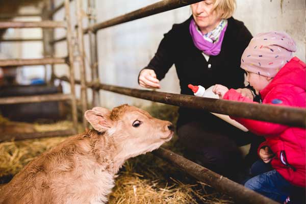 Kinder besichtigen den Kuhstall