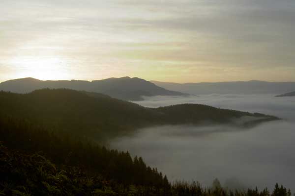 Herbst am Michlbauernhof