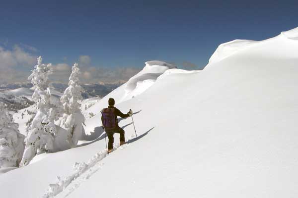 Schitour - Hoch-Waxeneck - Hoenigschnabel