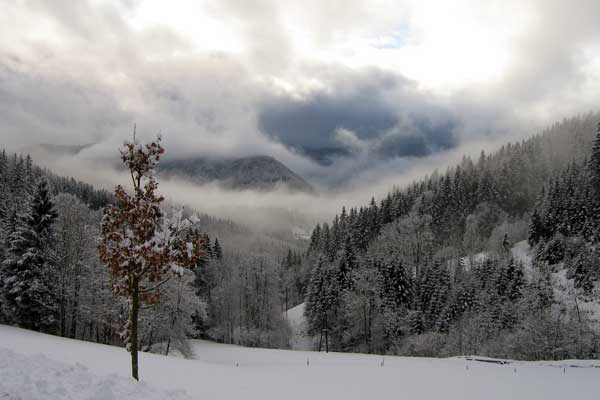 Blick auf das Mürztal im Winter