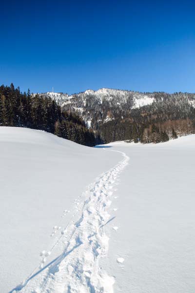  Winter Spuren im Schnee