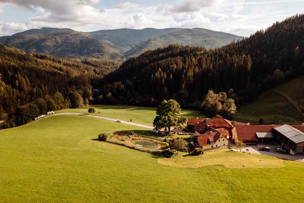 Luftaufnahme Michlbauernhof