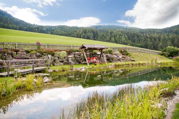 Biobauernhof und Naturbadeteich