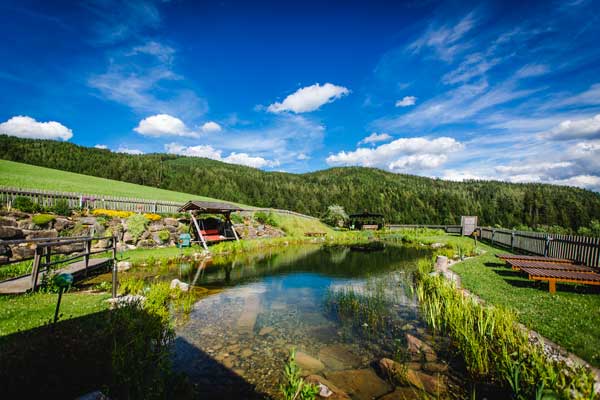 Biobauernhof - Naturbadeteich