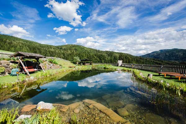 Biobauernhof und Naturbadeteich