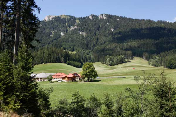 Panorama Biobauernhof