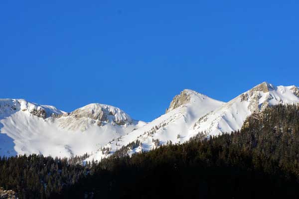 Schneealm - Foto:Feiner