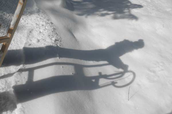 Winter am Michlbauernhof - Schlittenschatten