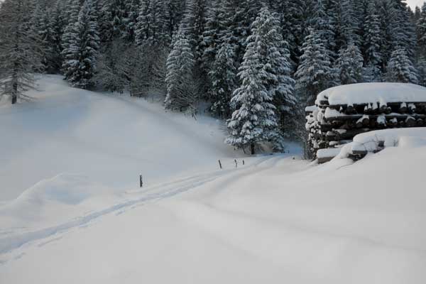 Verschneite Winterlandschaft