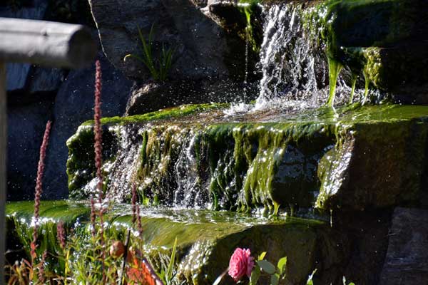 Kleiner Wasserfall bei der Teichanlage