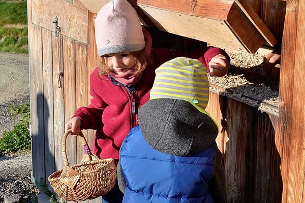 Sophie beim Eierabnehmen